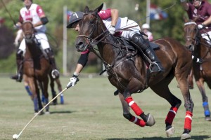 084_Puerta de Hierro 01_07_2012